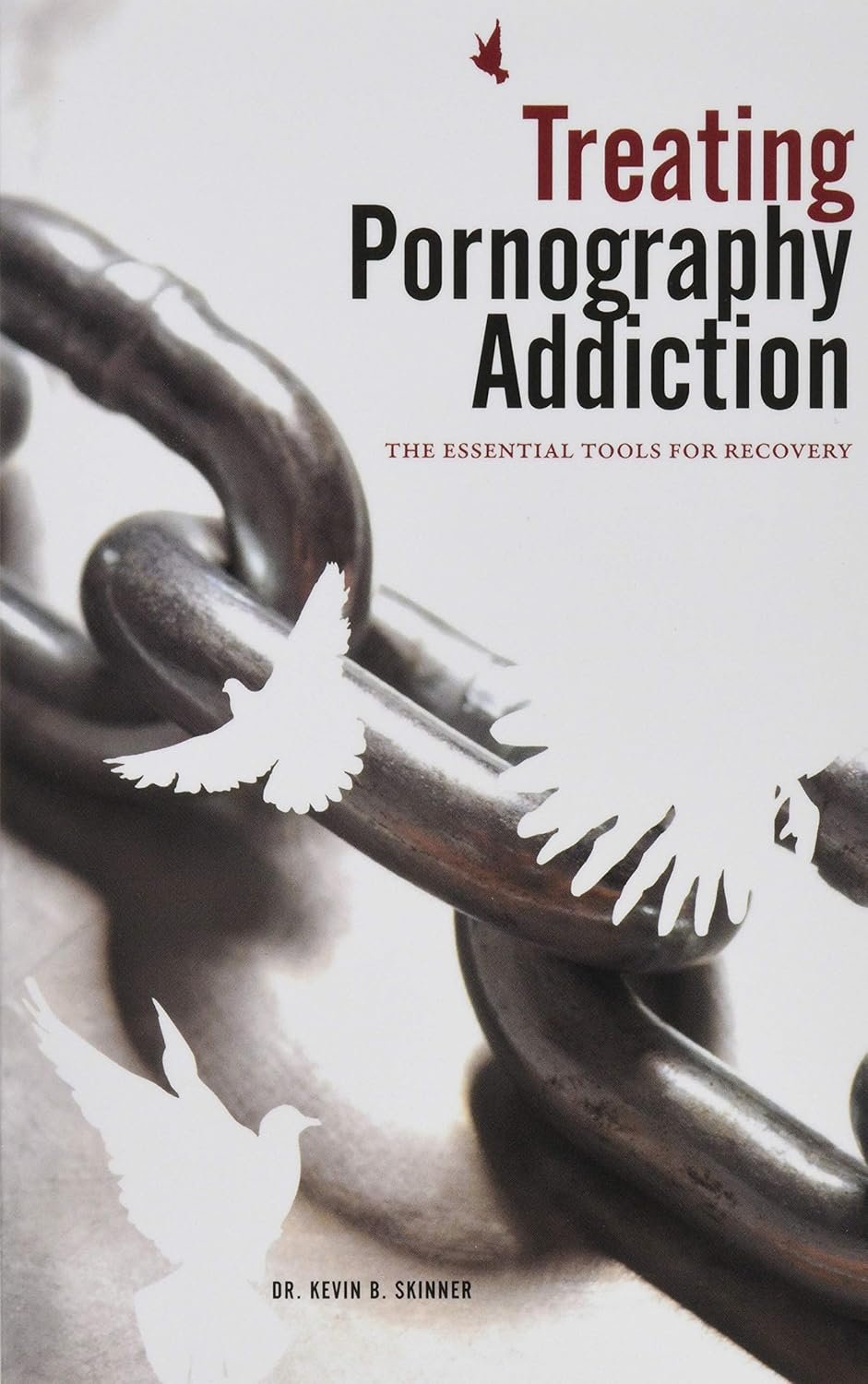 Treating Pornography Addiction: The Essential Tools for Recovery     Paperback – June 15, 2017