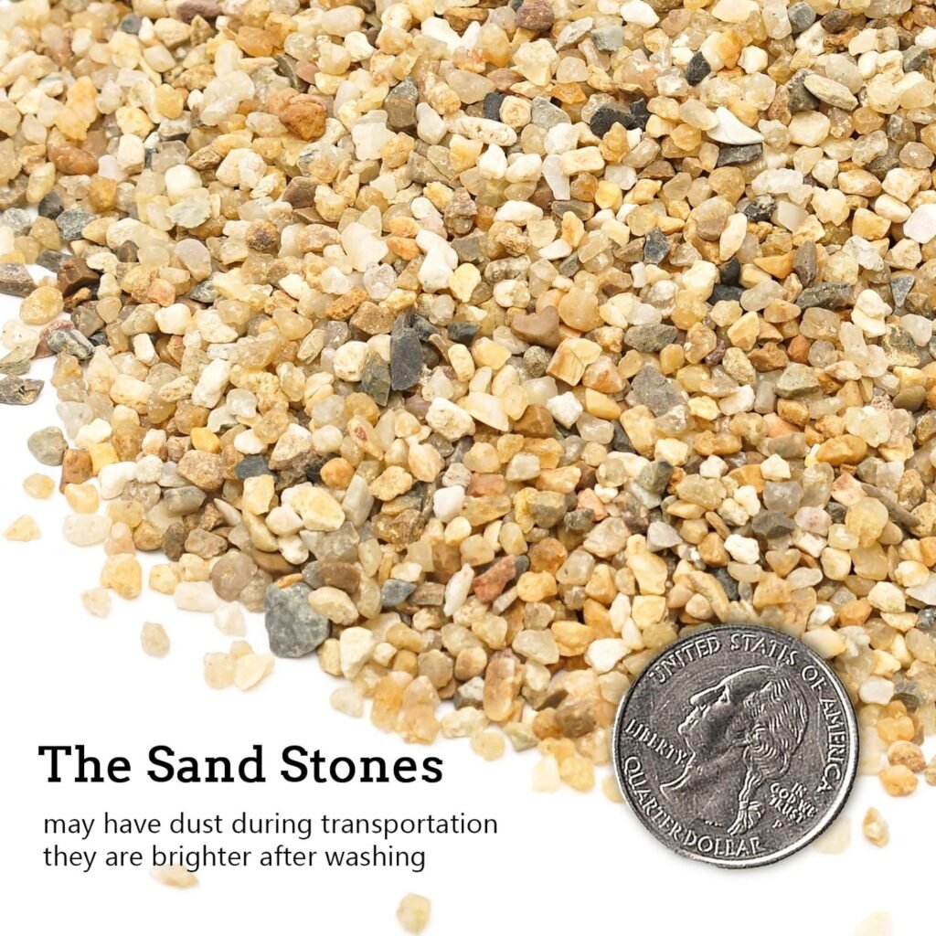 Coarse Sand Stone - Succulents and Cactus Bonsai DIY Projects Rocks, Decorative Gravel for Plants and Vases Fillers，Terrarium, Fairy Gardening, Natural Stone Top Dressing for Potted Plants.