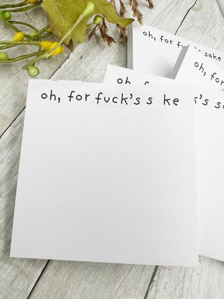 Funny Sticky Notes for Adults for Work,What The F*ck Sticky Notepad, Oh, for Fucks Sake Novelty Notepads,Sticky Notes Funny Sassy Rude Office Desk Supplies Gifts for Friends, Co-Workers 4 Pcs